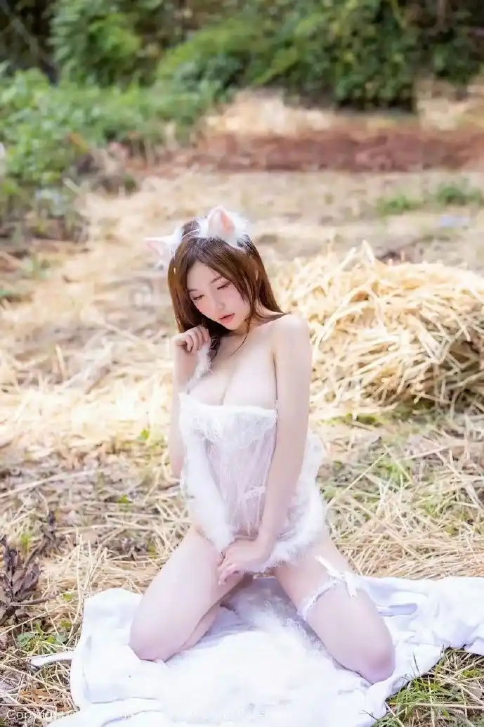 Faded全球热度地图