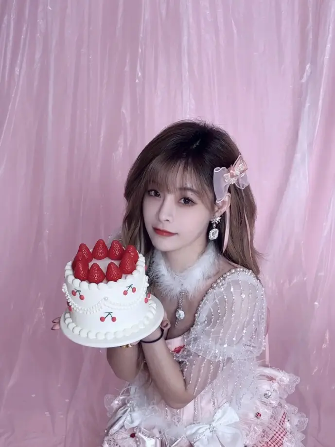 炮弹专家技术示意图